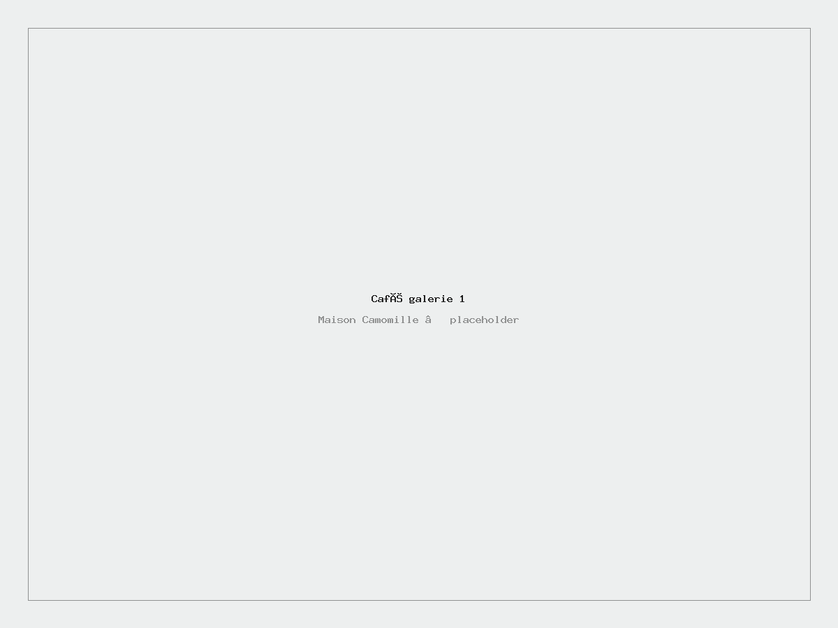 Galerie 1