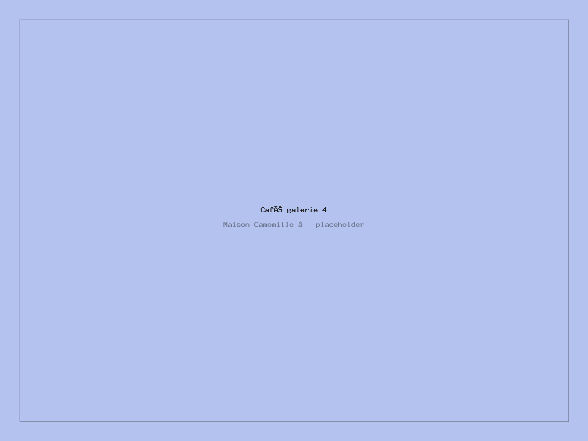 Galerie 4